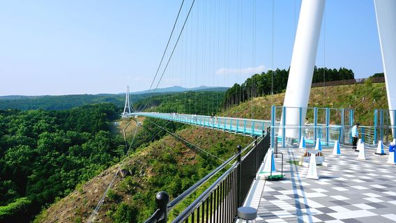 Mishima Sky Walk