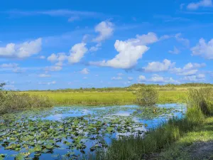 Parco nazionale delle Everglades