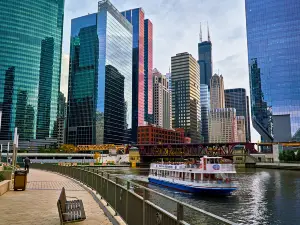 Shoreline Sightseeing