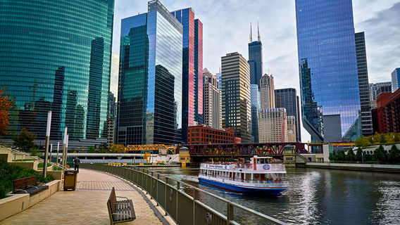 Shoreline Sightseeing