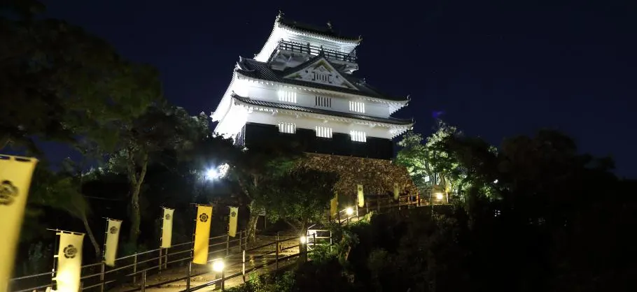 Night Attractions