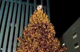 Fallbrook Tree Lighting Festival | Fallbrook