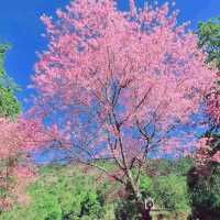 ลานดูดาว​ ท่ามกลางขุนเขา