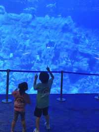 海洋公園之到此一遊 