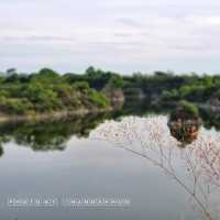 แกรนด์​แค​นย​่​อน​เมืองบุรีรัมย์