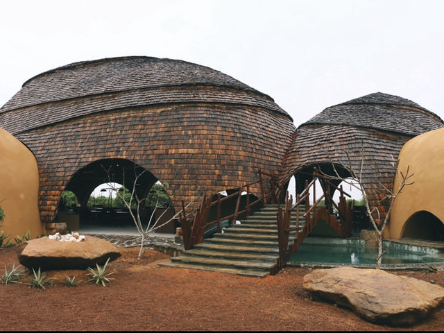 Leopard safari in Yala National Park