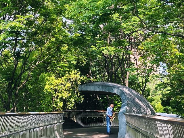 Quiet place to walk by the Suzhou River 