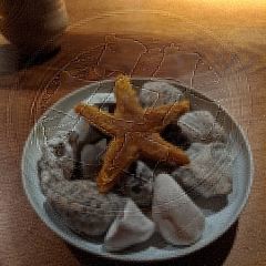 noma User Photo