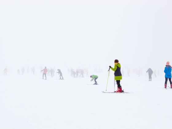 Shihezi Jiangjun Mountain Ski Field