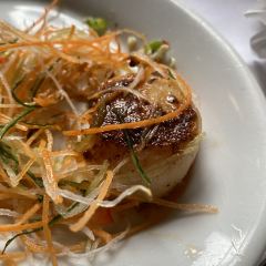 Hippopotamus User Photo