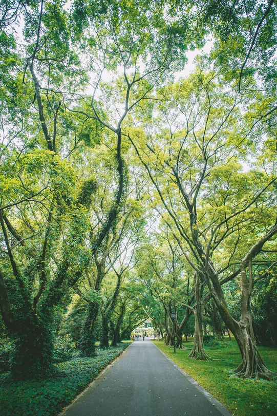 5_中國科學院華南國家植物園