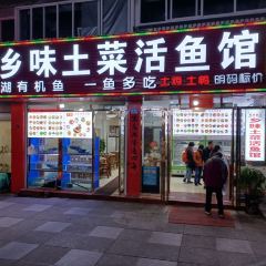 Xiangweitucaihuoyuguan (shinianlao) User Photo