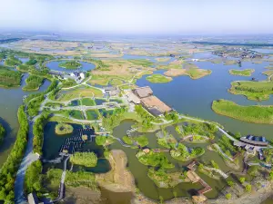 杭州灣國家濕地公園