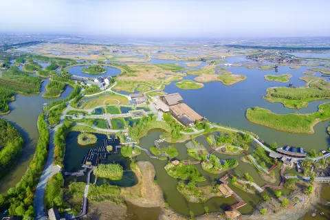Hangzhou Bay National Wetland Park