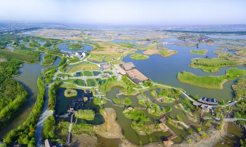 Hangzhou Bay National Wetland Park