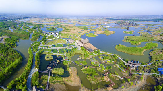 Национальный водно-болотный парк в заливе Чжоу