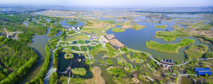 杭州灣國家濕地公園