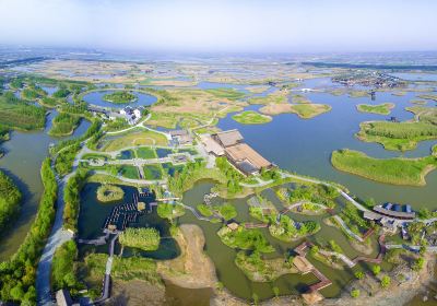 Ergun Wetlands