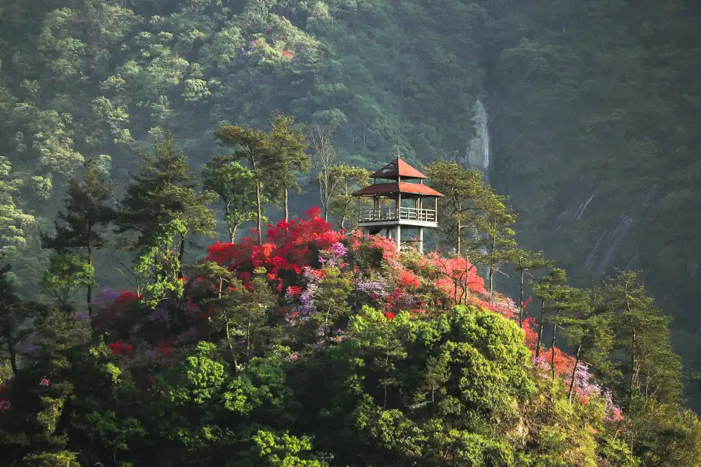 Hotels near Tianxia