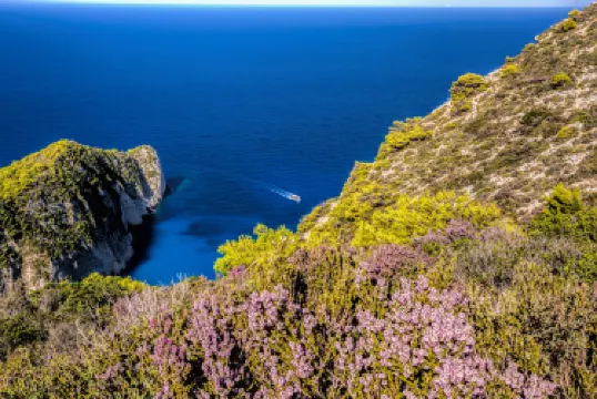 خليج نافاجيو