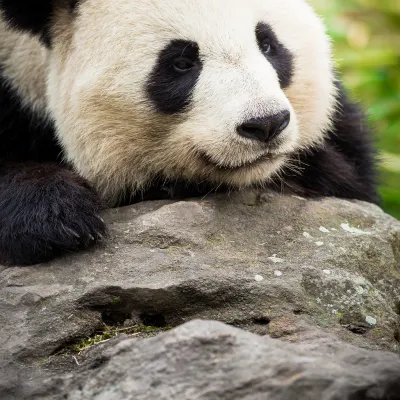 Отзывы об отеле The Richmond Hotel - Adelaide