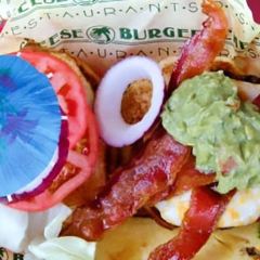 Cheeseburger In Paradise User Photo