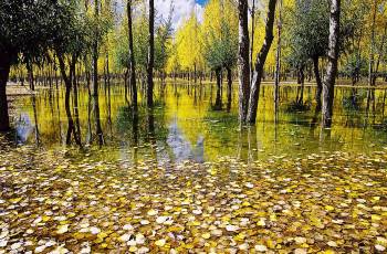 Top 20 Fall Viewing Attractions in Yangzhou