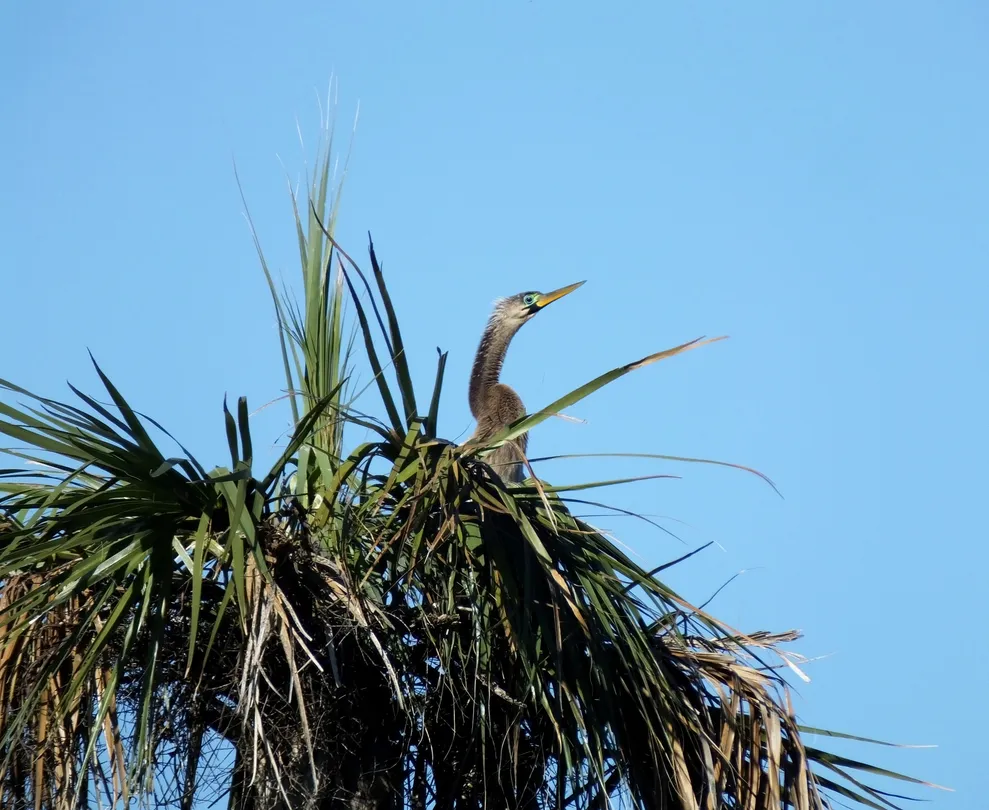 2_Qinghu Wetland Park