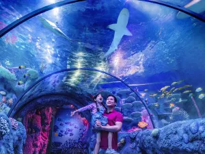 LEGOLAND SEALIFE Malaysia