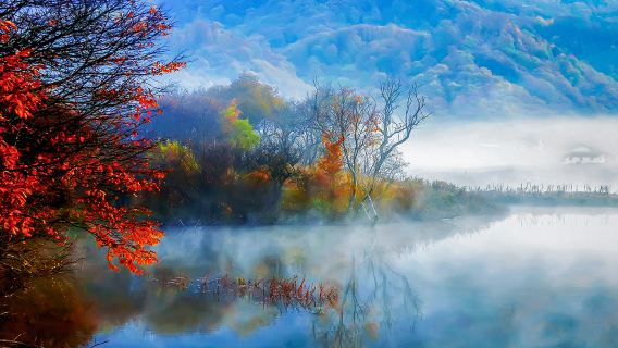 Fall Foliage Sightseeing in Shennongjia
