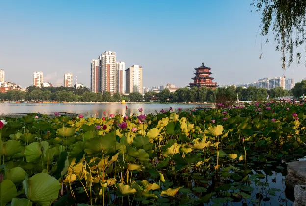 Các khách sạn gần Ga Tế Ninh