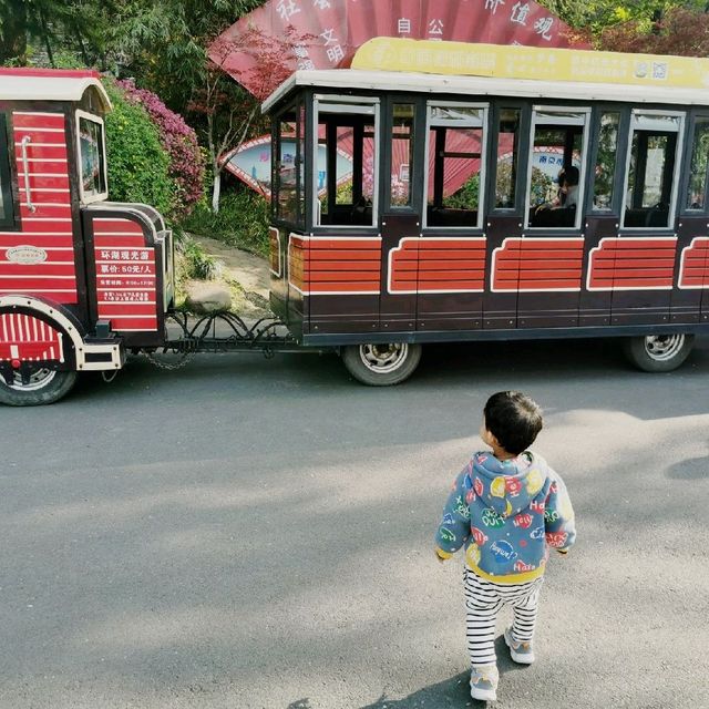 Train Ride 