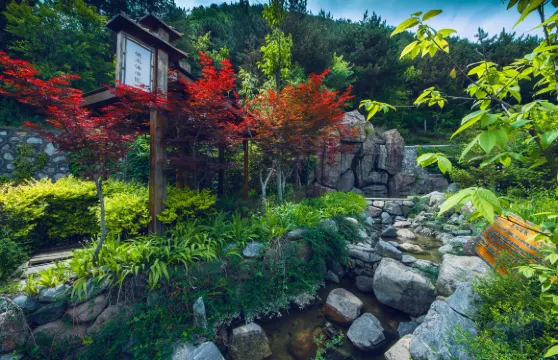 麥積山温泉門票+自助餐成人