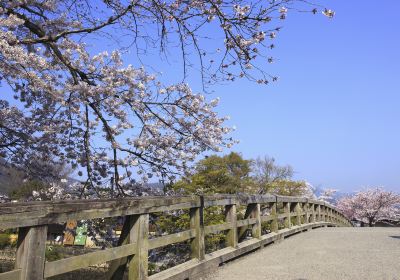 阪井市