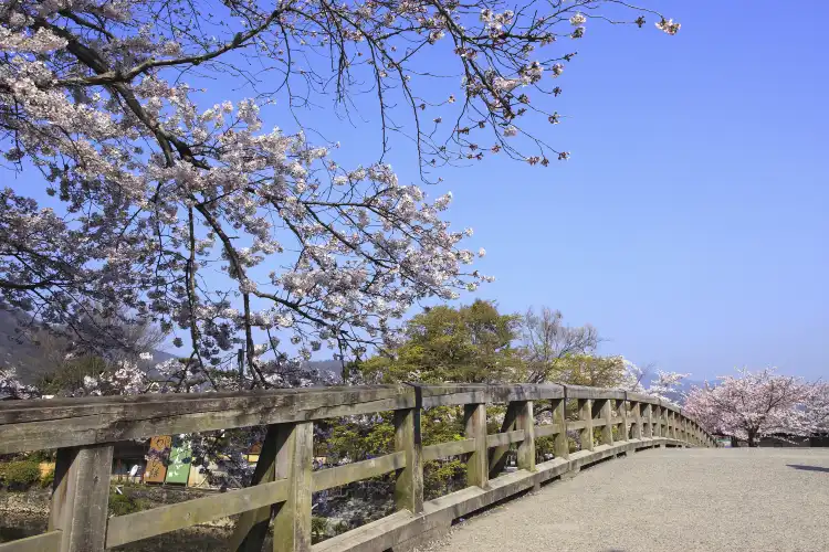 Sakai