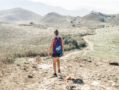 【2026芒草季節】最新14大賞芒草景點🌾，秋冬芒草行山路線推薦