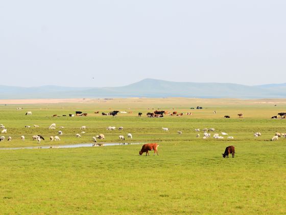 Qixian Lake