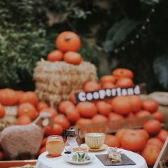 Cooperland User Photo