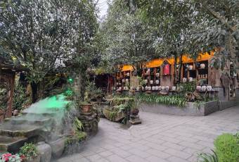 Qingcheng Jia (Qingcheng Mountain Branch) user photo