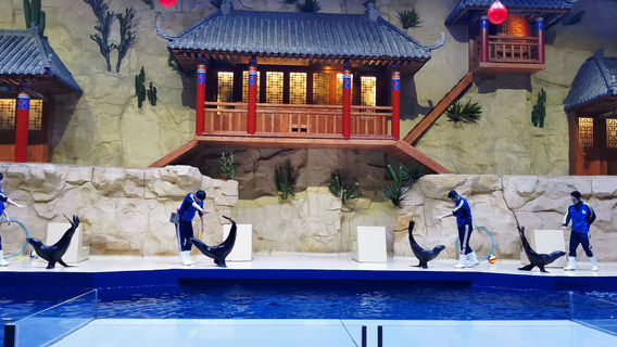 Beihai Underwater World