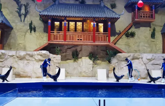 北海海底世界門票小童