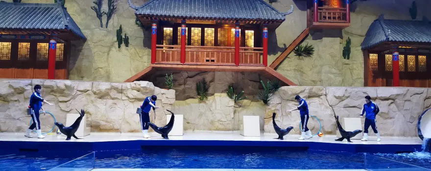 Beihai Underwater World