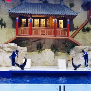 北海海底世界