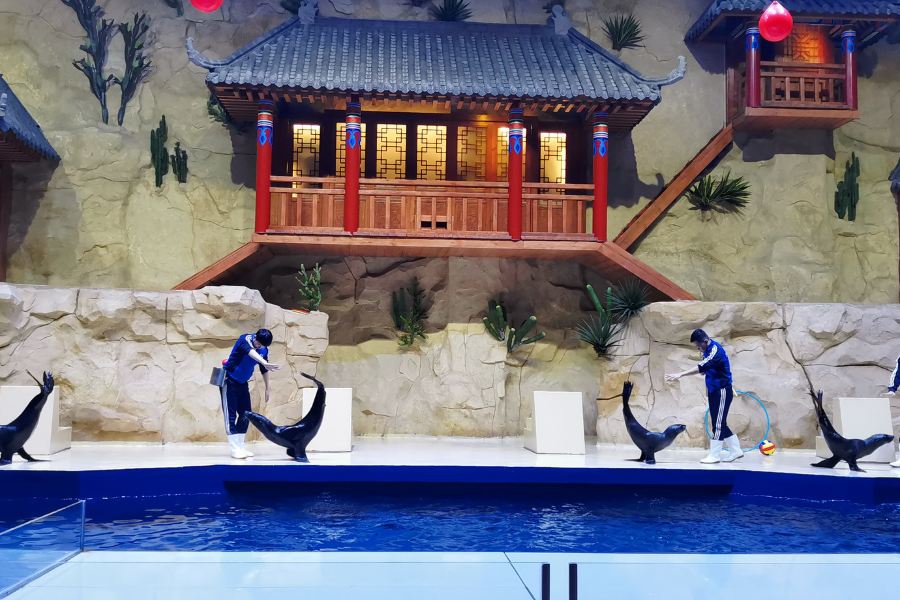 北海海底世界