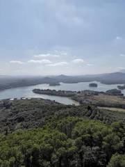 儋陽樓森林公園