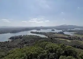 儋陽樓森林公園