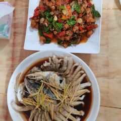 煲来饱去冷水鱼 User Photo