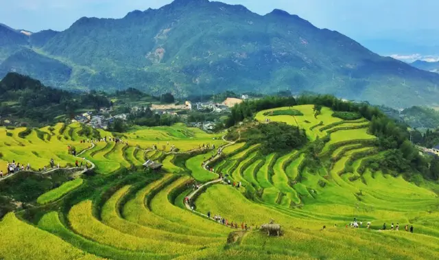 Terraced Fields Viewing in Lishui