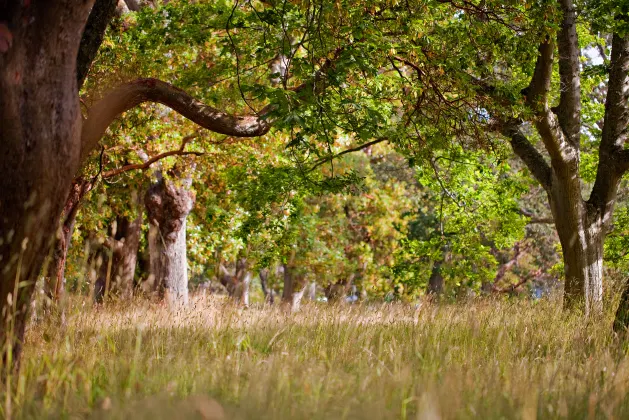 Отзывы об отеле Days Inn by Wyndham Vernon