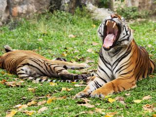 สงขลา วางแผนการเดินทาง 3วัน2คืน แพ็คเกจท่องเที่ยว